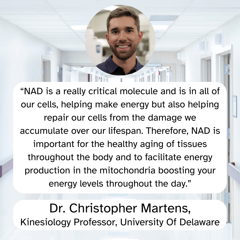 expert NAD+ Catakor - Focus & Energy