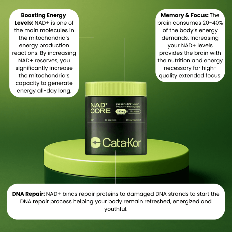 uvp NAD+ Catakor - Focus & Energy