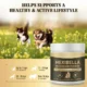 Mushroom Powder For Pets
